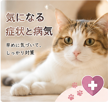 病気・症状から探すの記事一覧