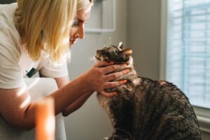 飼い主に抱かれる猫。シニア猫の健康変化と受診を考える記事のイメージ