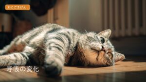 室内で穏やかに休む猫